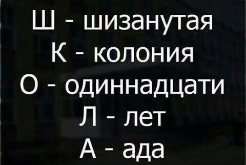 d3dabab4e2bba4b7a56c3de351d7a87e.jpg
