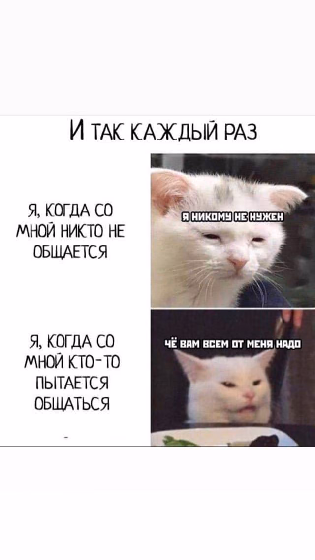 d3dee9fc2b765c8291a892ed925b82e9.jpg