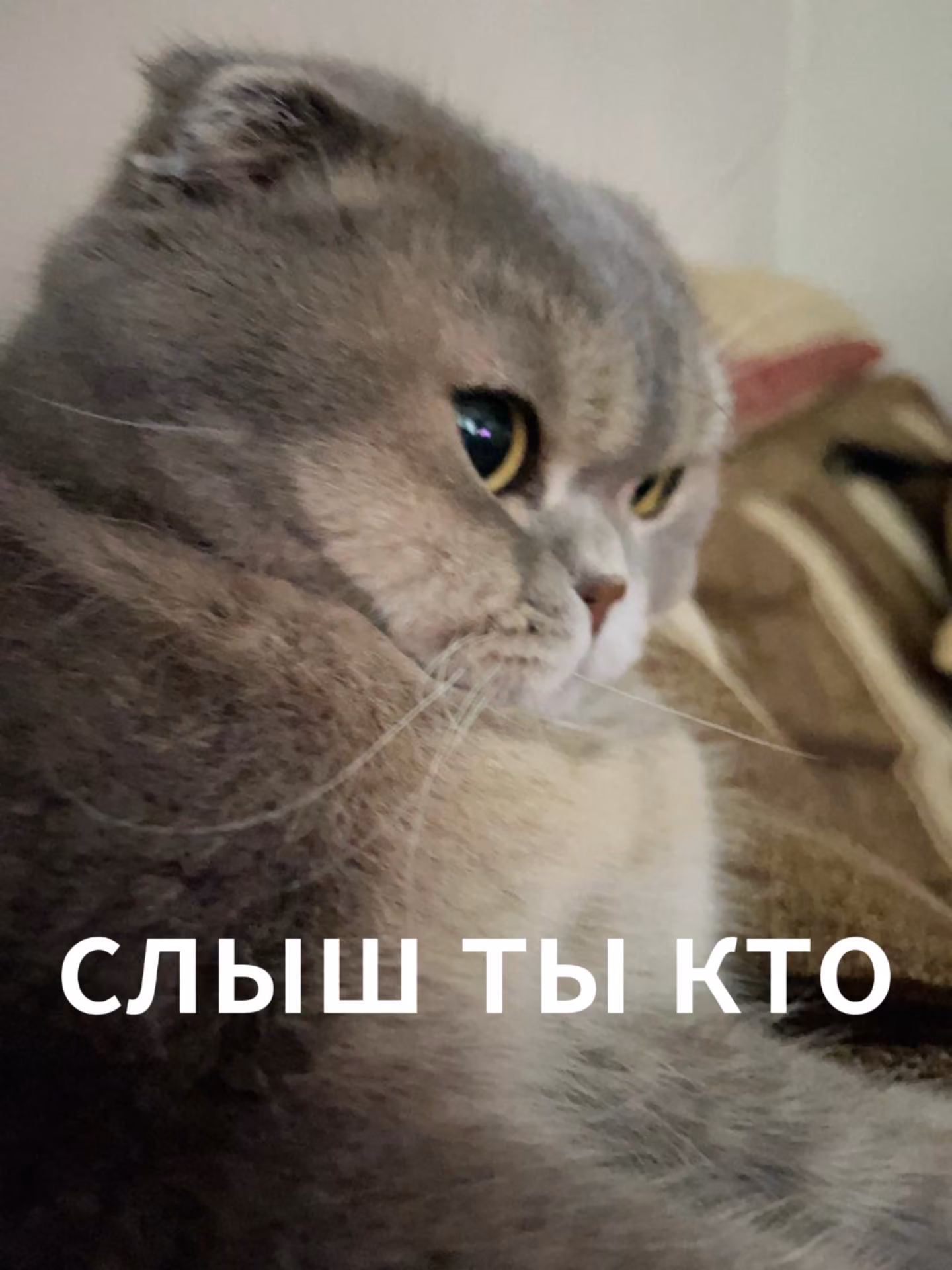 d3e6057ea32f428dc4ca2f24dadd2c98.avif