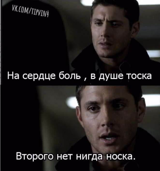 d3f63ec3a9df0b53ccb48475103322a1.avif
