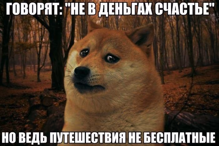 d407f06ea6f69b5c33dbc6c32ea4b57b.avif
