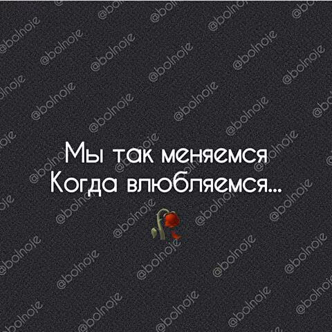 d41768360c004d77a5c693d717a20cef.jpg