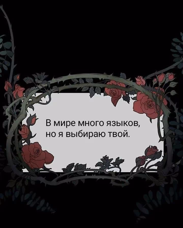 d41dd28d0d87ebf89bf559fe5cbc9cfb.avif
