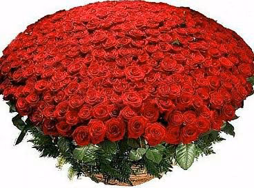 d421fef0c9effe3e1552e39fef0a8716.jpg