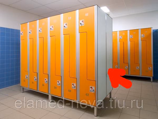 d4221caad5f5cffeebd413e8a94928d2.jpg