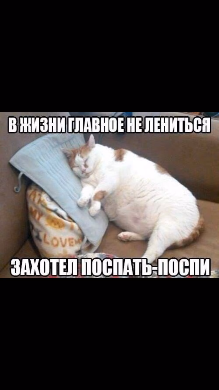 d425696e0daffd08a4547b280e350030.jpg