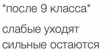 d4454db76445e46c9ffac69e9af69d7f.jpg