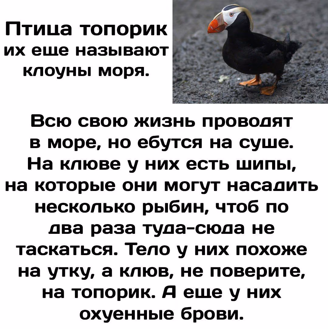 d4497408c22cd712ed25ba11378394ad.jpg