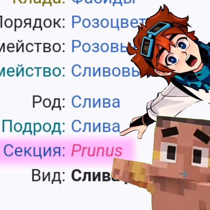 d44f7256ebe8d9da42e245ef7b108016.jpg