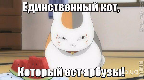 d46b813acfb6a8e5665c3a65e6ab8408.jpg