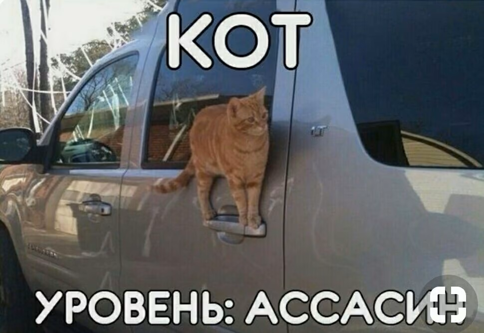 d47fdfc5c9289b4a196ad50c9afeaa3c.jpg