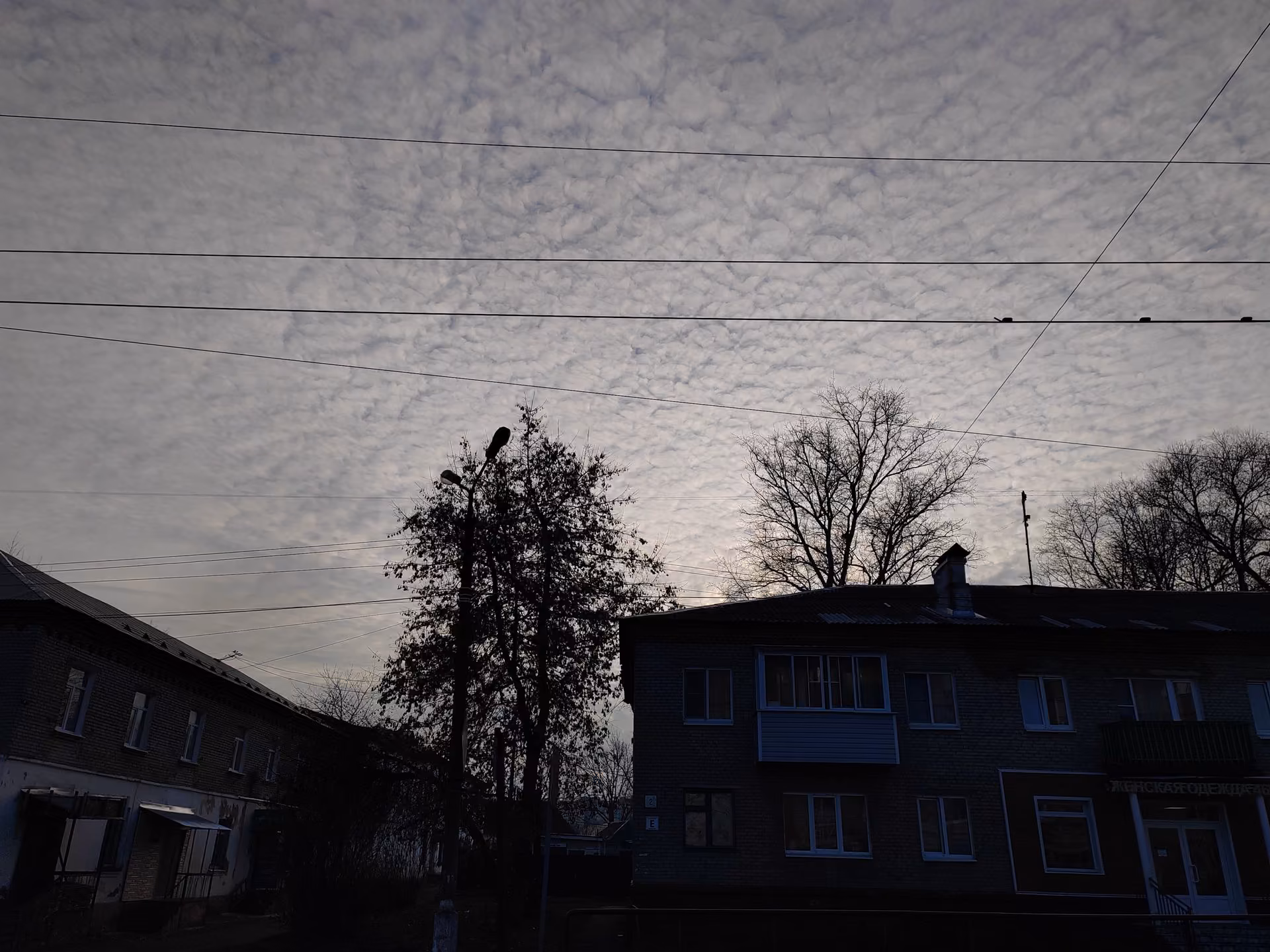 d48aa3e09524c434984dfd0845a55241.jpg