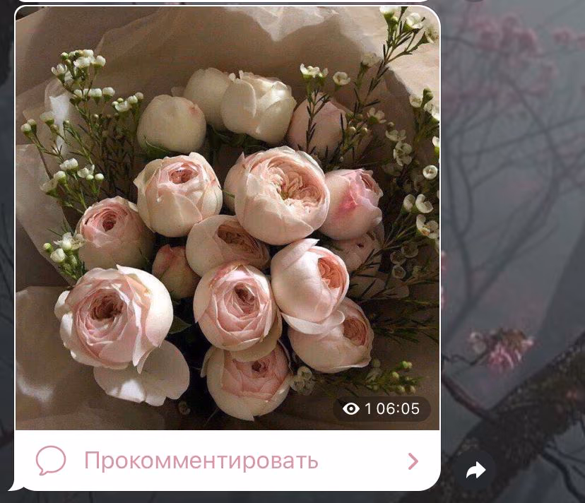 d48e42d0d053c9bf78c5c59e61cfdd9a.avif