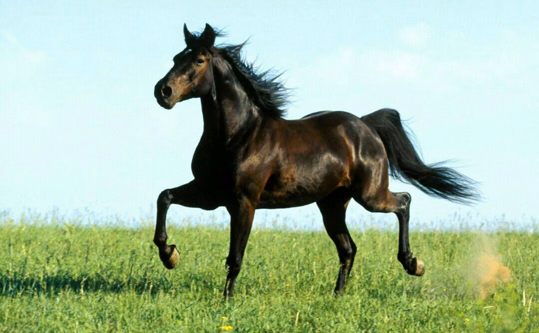 d48e57c717757f8bbf335b703b3f025c.avif