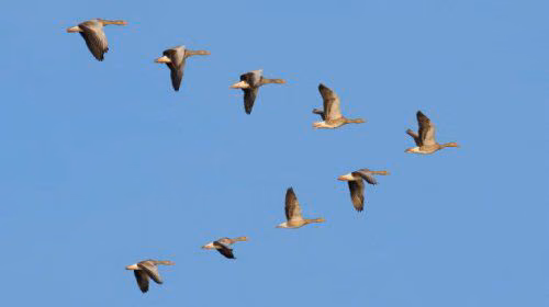 d49cae73ecdb0d94b608ddef8736e605.avif