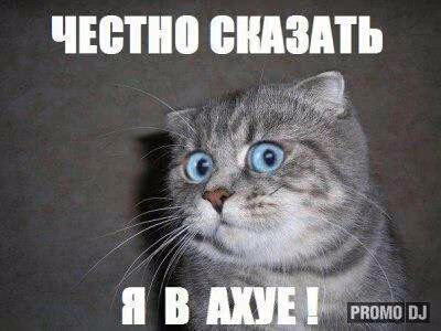 d49cf17a43befbe681e635335891b8f3.avif