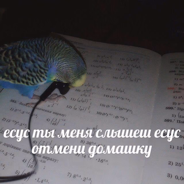 d49ddd73e31113a4d4bd40913c749a67.jpg