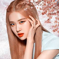 d4aed536d1391a894530733a2bb23c64.avif