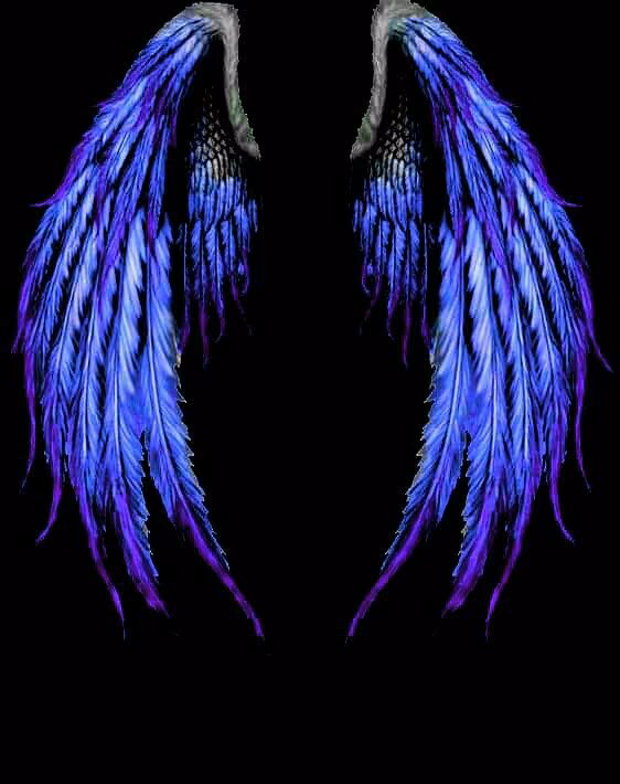 d4aeed59fd8b0f37b88d895478bf63a0.avif