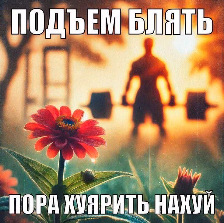 d4b620cdde8acf1f1e76b185f698daff.avif