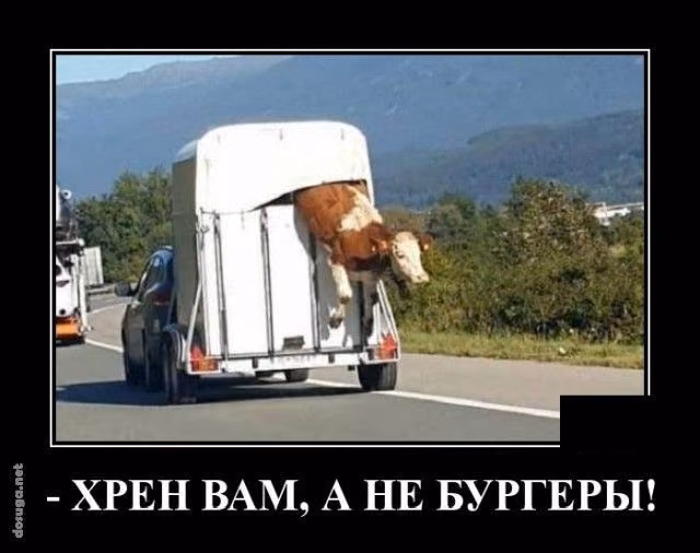 d4bc31e6dbc7b1f5079dc732400cad77.avif