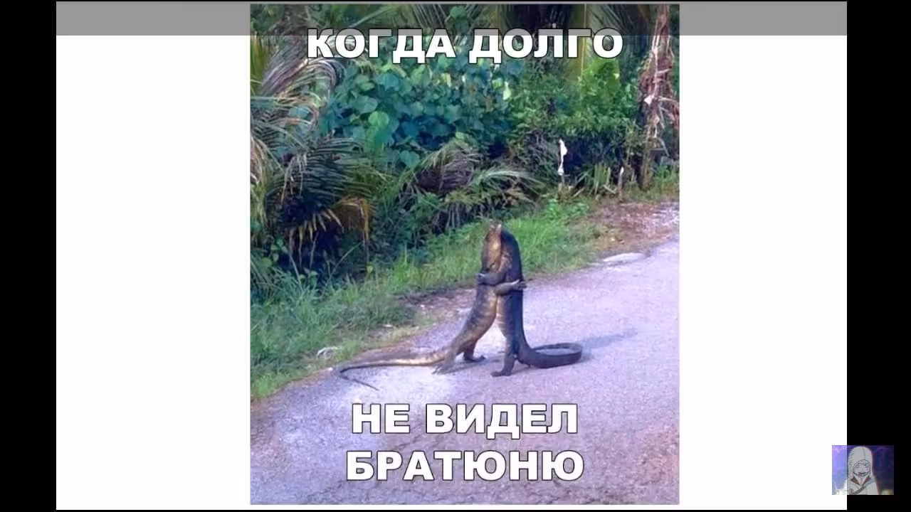 d4bf768baf19707304cbc79f4ecff5fd.jpg