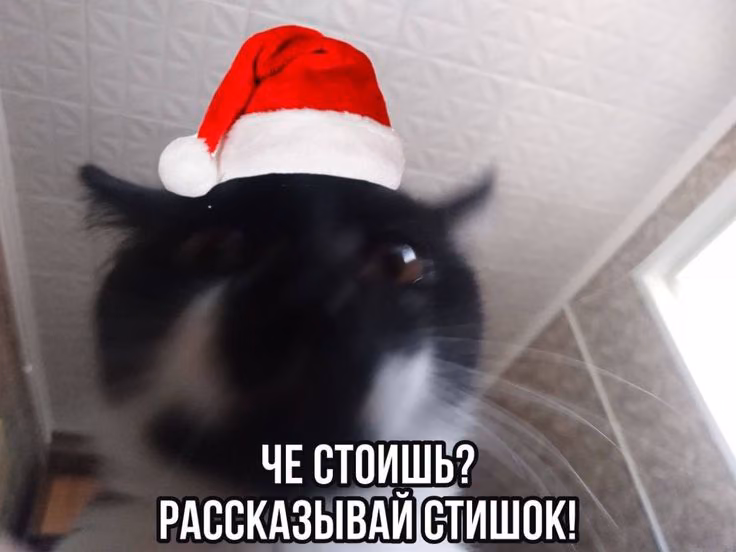 d4d6dc19ec96f9b664869478eb6a6925.jpg