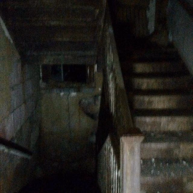 d4e85785058892ae2acb035603ebc907.jpg