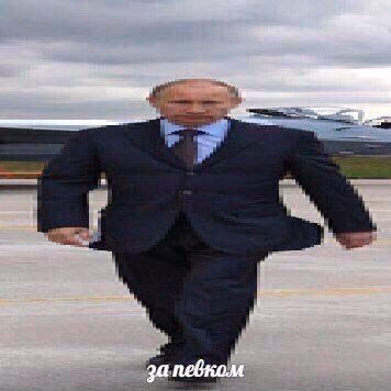 d4ed502ce58a7c345e3127a6d59b7e3a.jpg