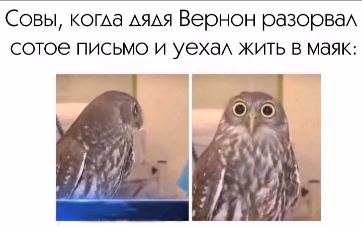 d4f0af84611cb853a22e65c9619ec255.avif