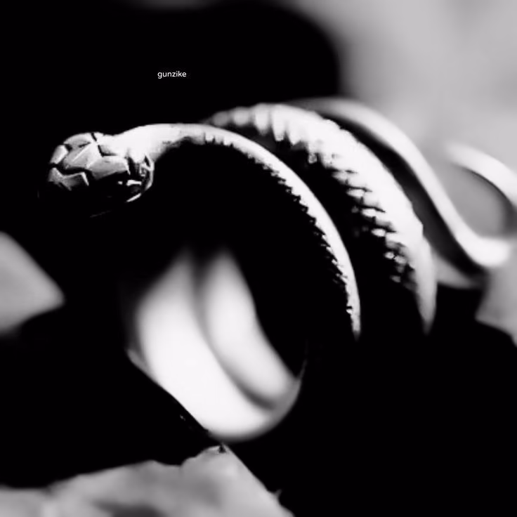d5062570068aa22c056455abbbbafac0.jpg