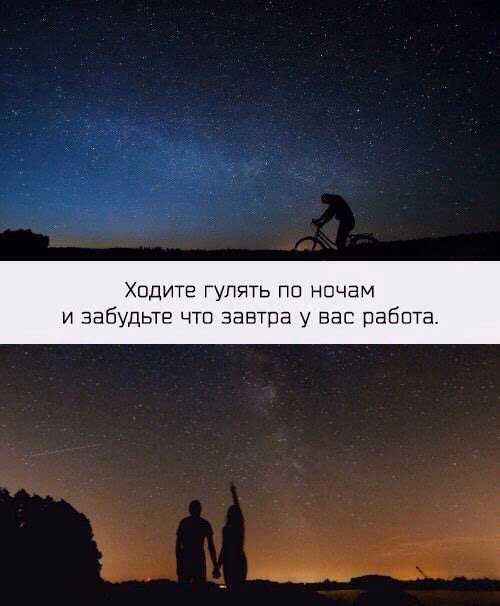 d51a4e39e1eadebaa0ed0233fc88736f.jpg