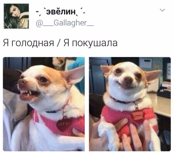 d51aa99b6efe6715a49dc5e2ab9e3ab8.avif