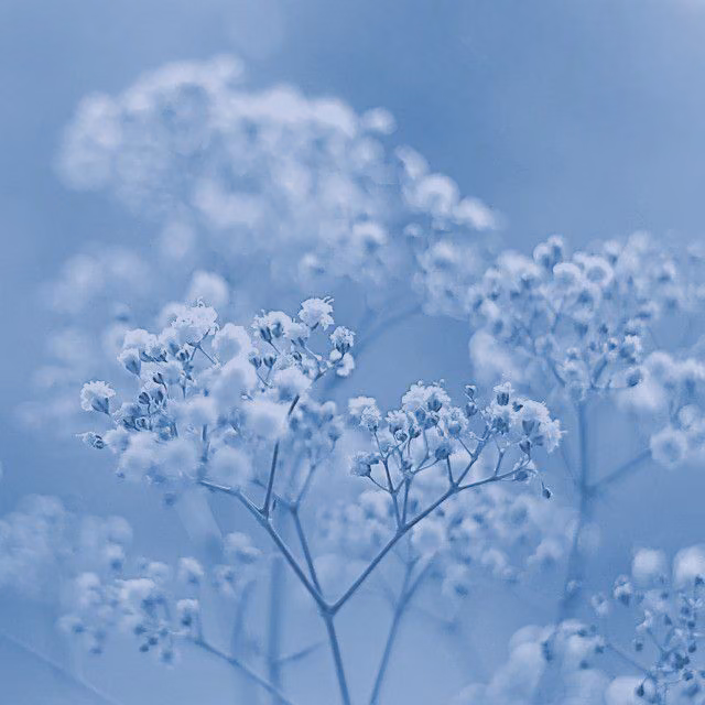d53617271a9fd657838f6e3ae9a597a2.avif
