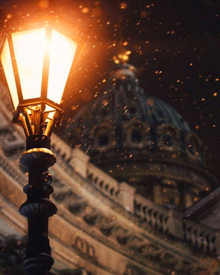 d538e5e9c65148f61c4182d37fffb54b.jpg