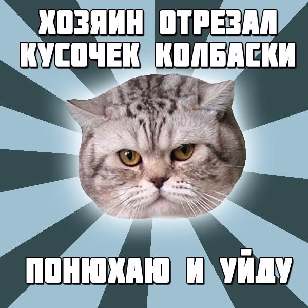d542892aa022c6d8fa3d300fa7799040.avif
