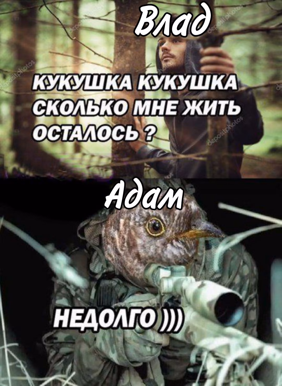 d54c17a5f4fbb1d2f23a0f9fa57e7956.avif
