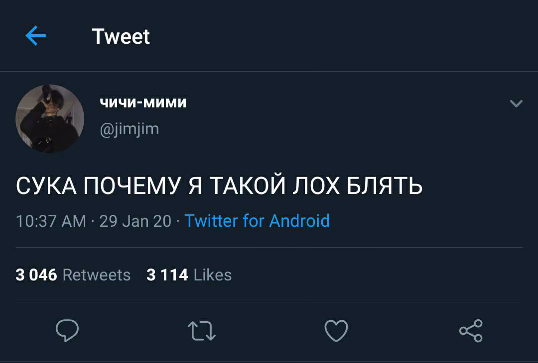d54ee3e5508351466abe616b86e5edb6.avif