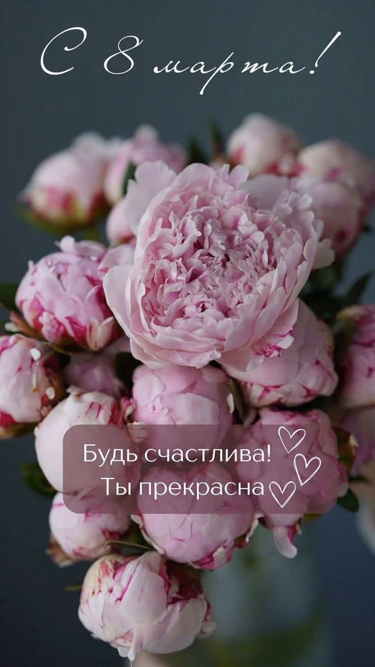 d55e3d0b1862ac26f5782a6f741fb986.jpg