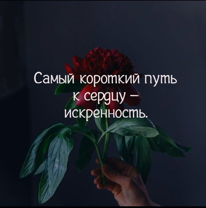 d58cdd824fdb64bd3cd10eaace16ebc5.jpg