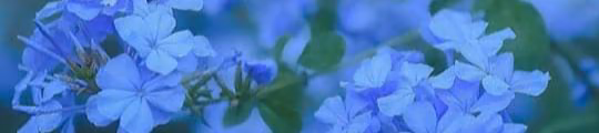 d597f63e88c466baf51ae14f347aee35.jpg