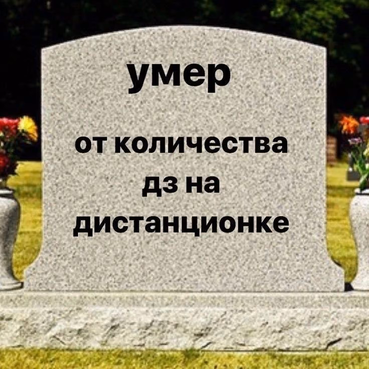 d5983868f2895f4fb8dae3e18deca9f3.avif