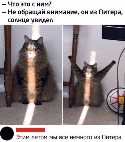 d5a149974276e666b8823ff3381ba478.avif