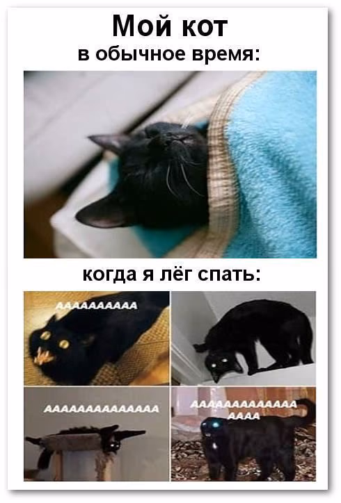 d5ce5140216f62465e8ad6158f53af50.jpg