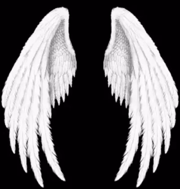 d5ceabca591d1e97dd7335dfe148d80c.avif