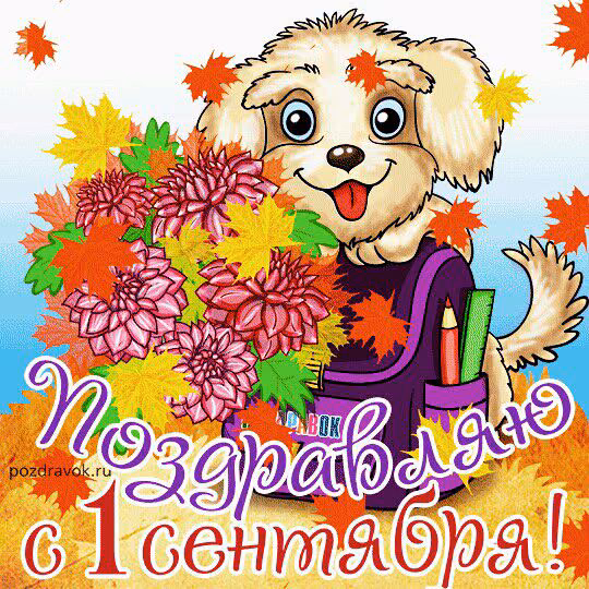 d5d5b9cf1e3276b6e93b0abfe2ab3c5c.jpg