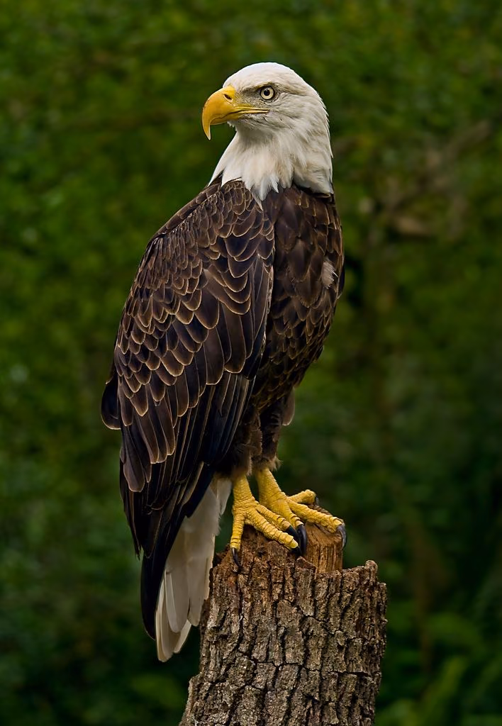 d5e1f1fee53d2d22d9b53addd431b59e.avif