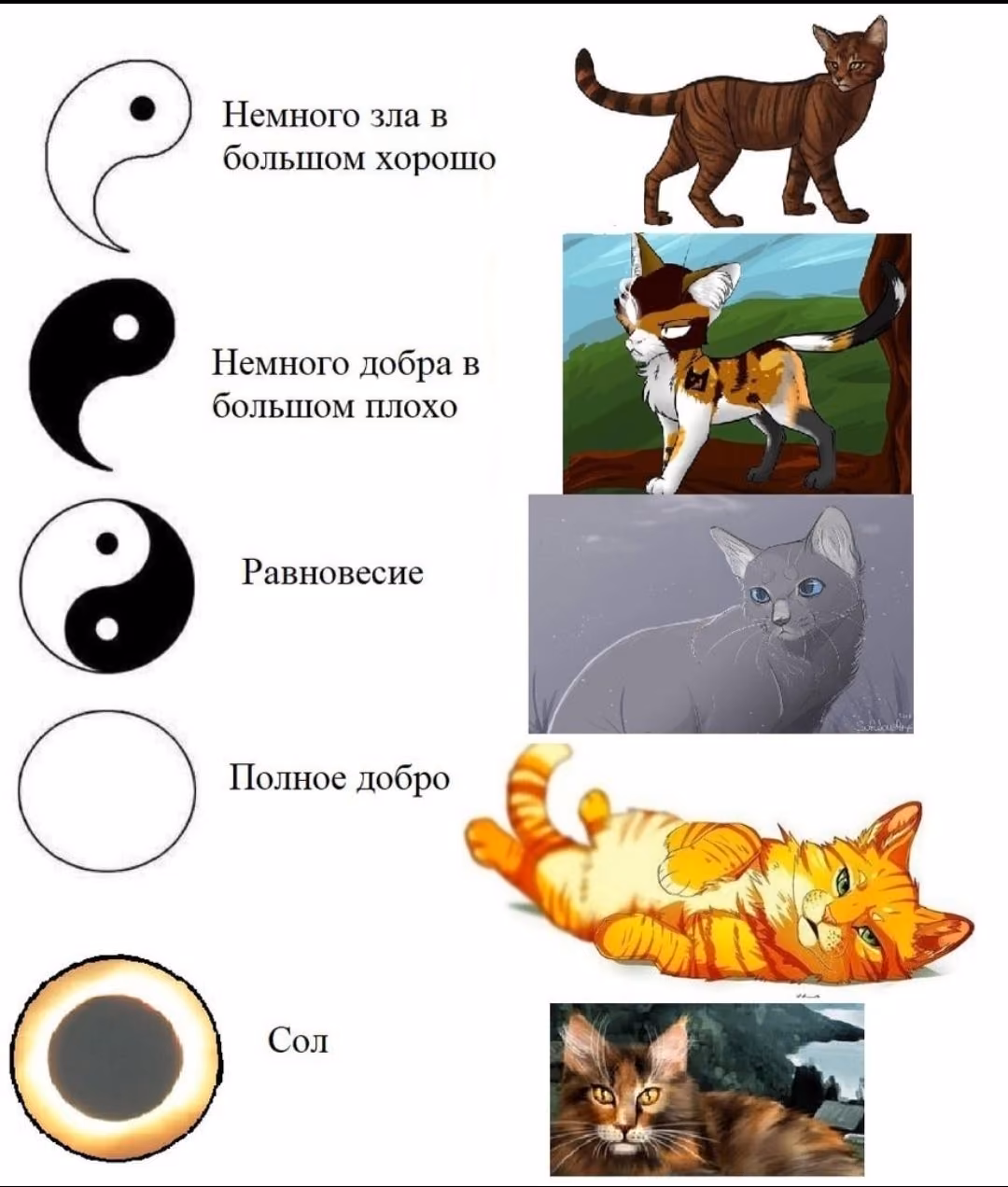d5eae3fd4396fdb00e8c810f3d8d54cf.avif