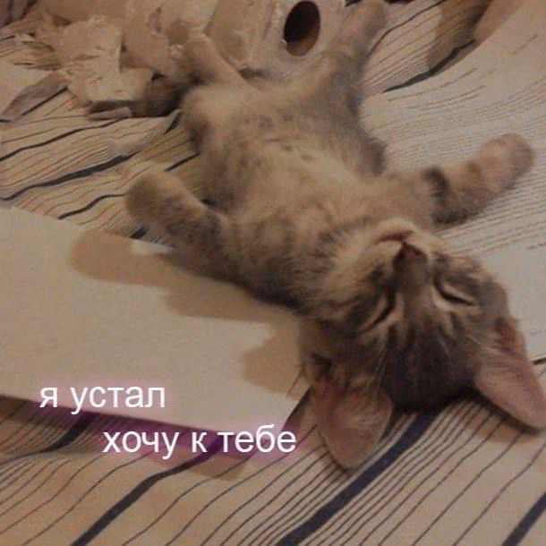 d5f10ad68ed9dd2da575f5e11b21357e.avif