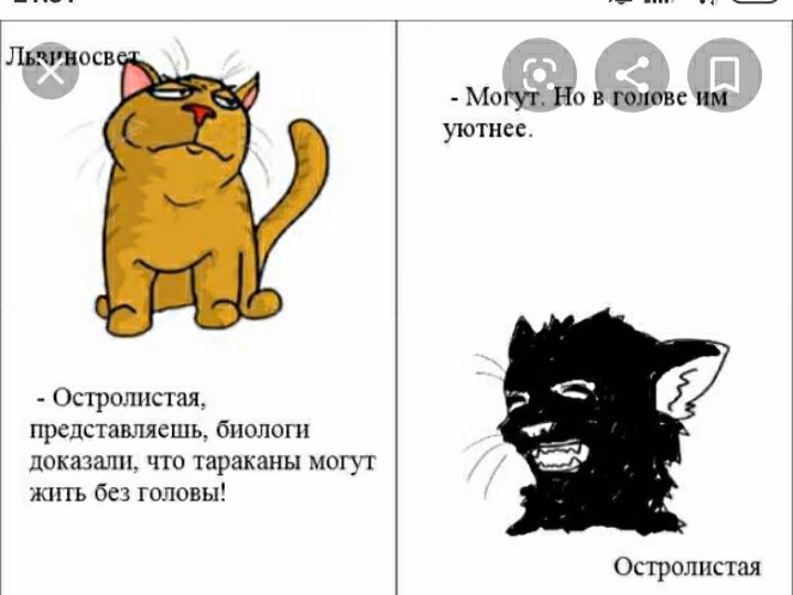 d5fdf05e84f5a5ebc898308a46a88800.jpg